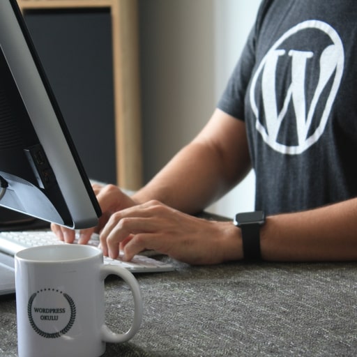 WordPress development